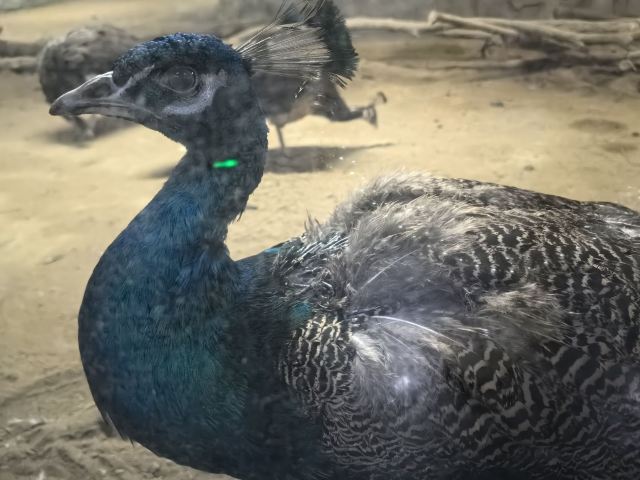 沈阳龙之梦动物科普乐园旅行图片 2