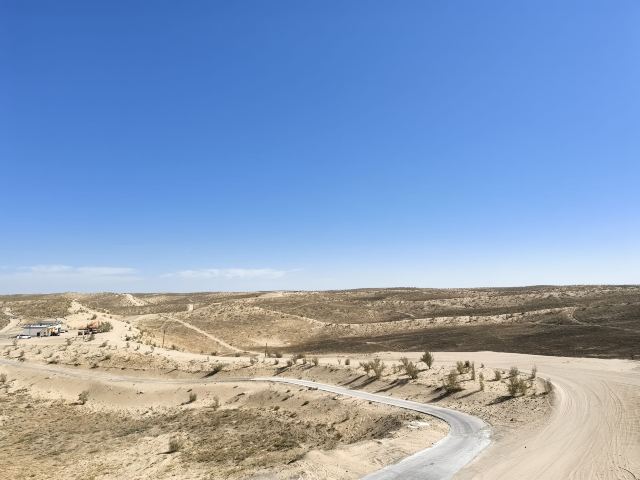 古尔班通古特沙漠旅行图片 5
