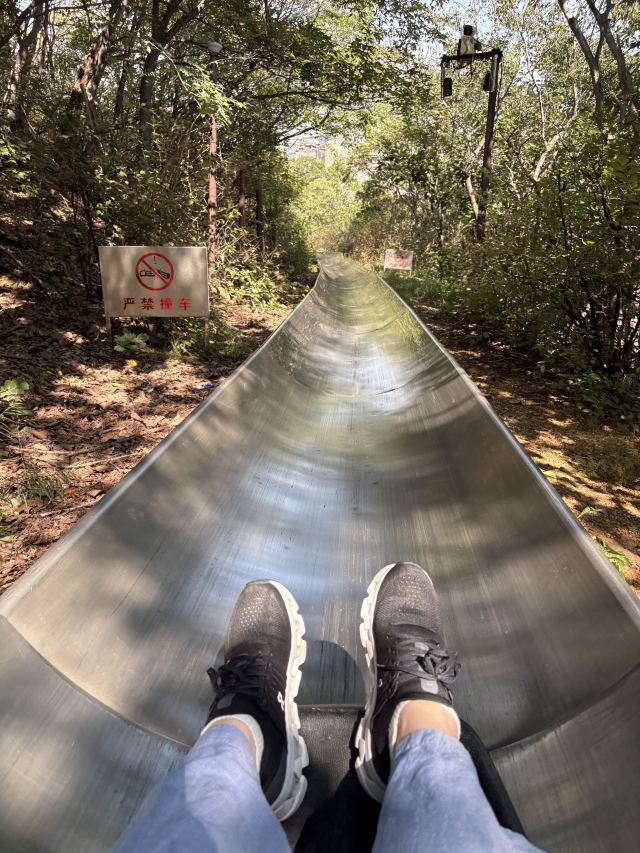 劳动公园旅行图片 2