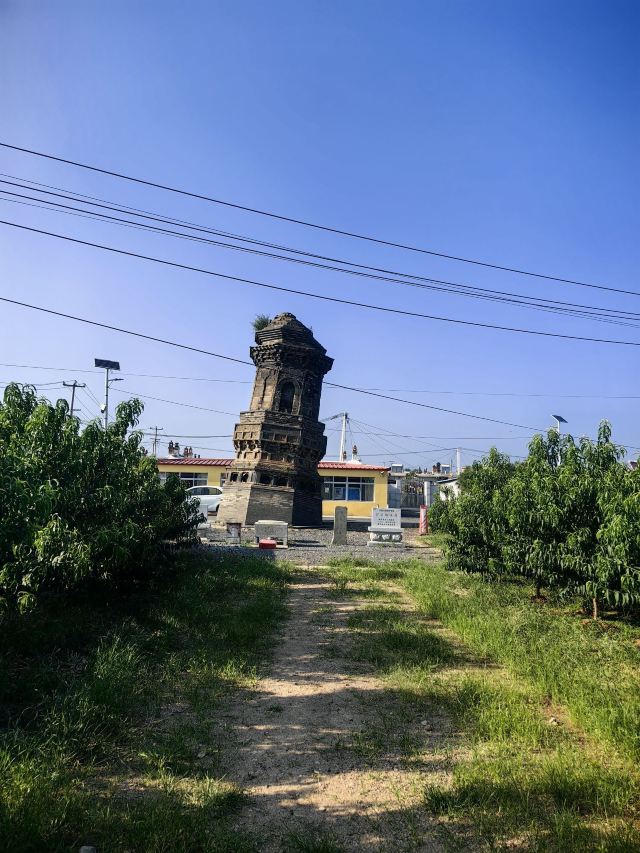 前卫歪塔旅行图片 1