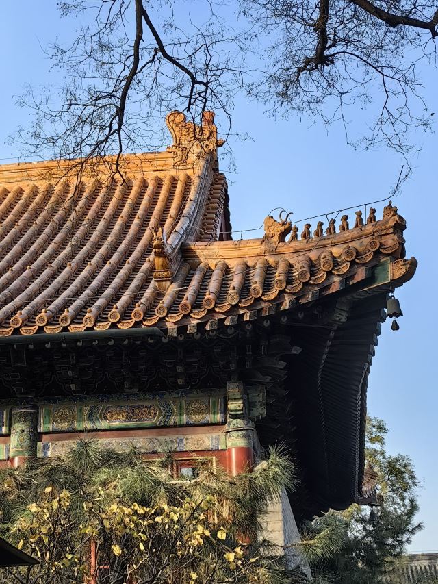 广济寺旅行图片 9