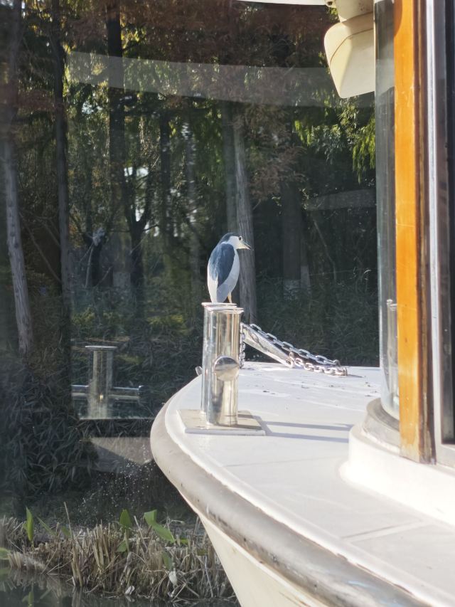 南通濠河风景名胜区旅行图片 1