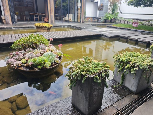 丽江古城旅行图片 1