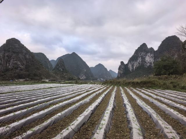 旧州景区旅行图片 3