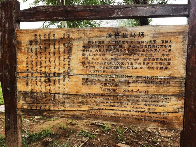 赛汗塔拉城中草原旅行图片 1