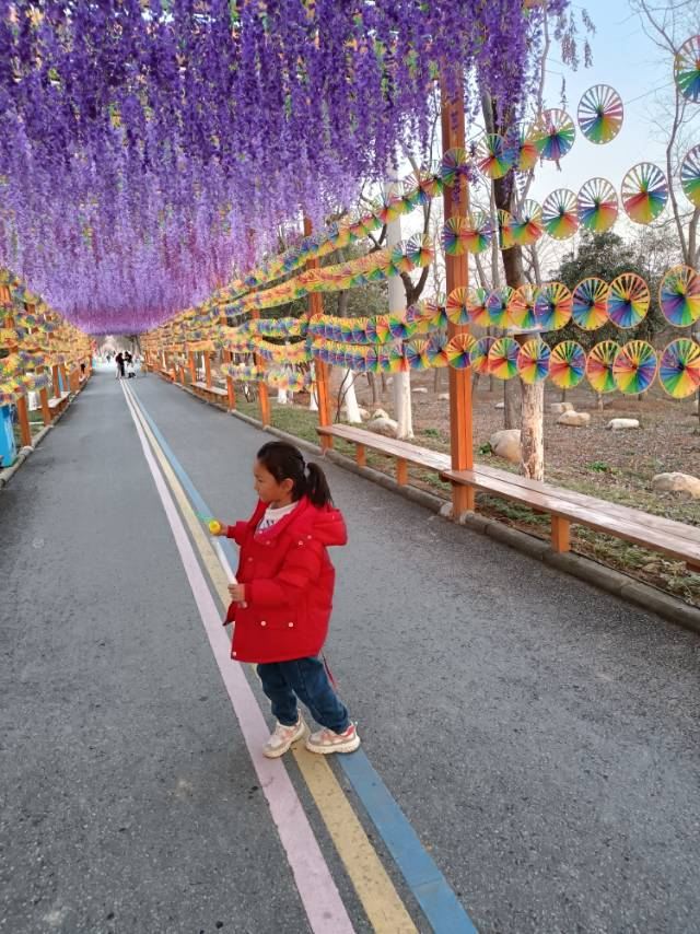 南京森林大世界旅行图片 4