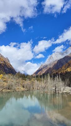 四姑娘山长坪沟景区-幺妹峰-小金-大头happy