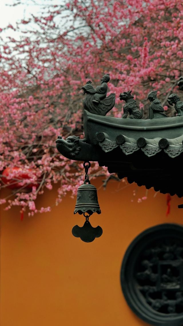 湖州铁佛寺旅行图片 7