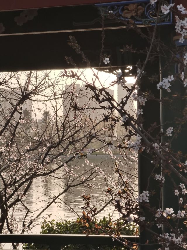 西安航天城文化生态园旅行图片 1