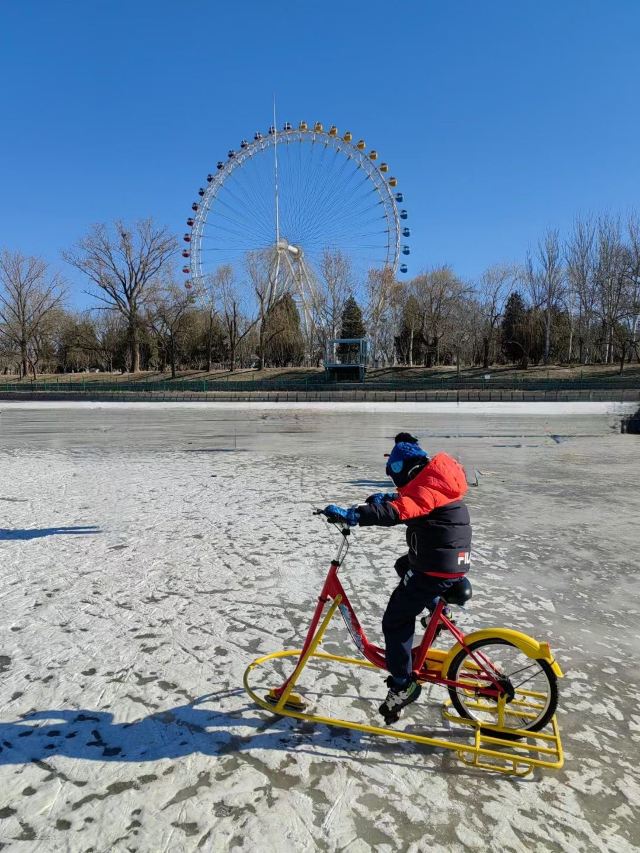 陶然亭公园旅行图片 2