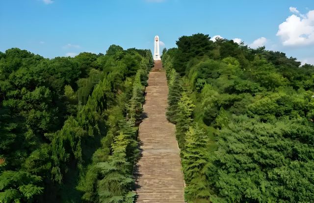 东塔公园旅行图片 2