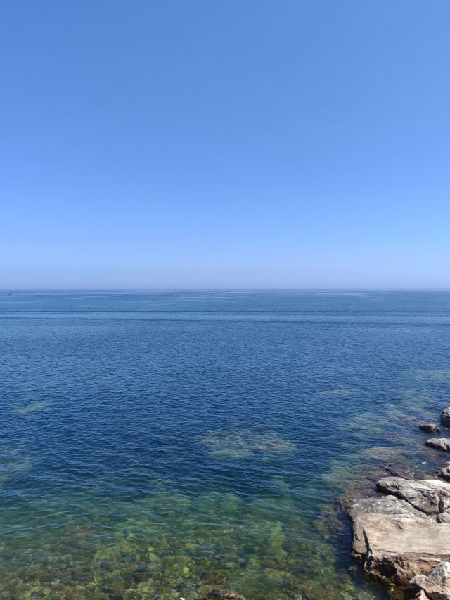 养马岛林间花海旅行图片 5