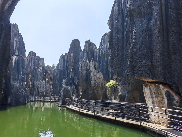 石林风景区旅行图片 1
