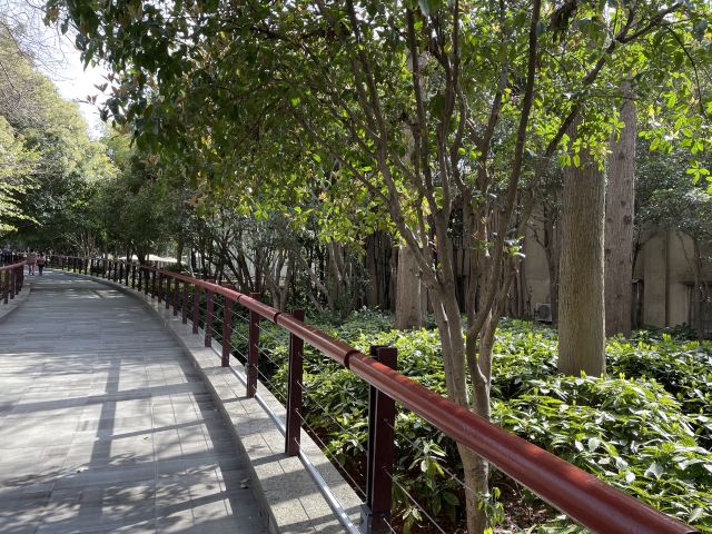 古城公园旅行图片 2