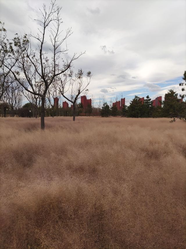 官庄公园旅行图片 7