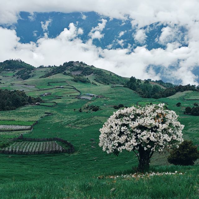 香格里拉小瑞士·老药山旅行图片 2