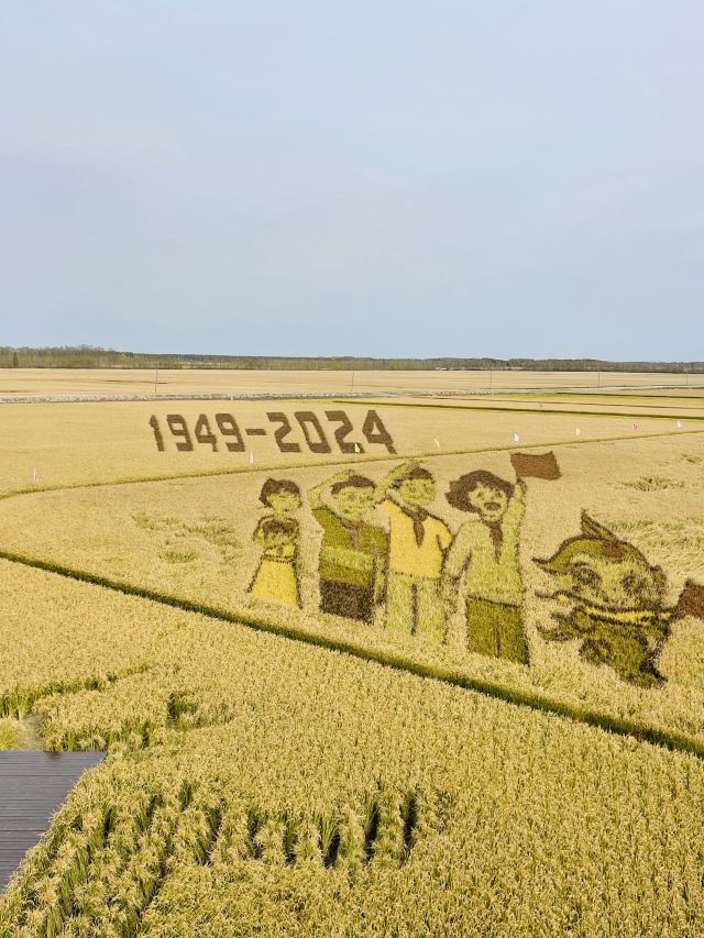 八五八农场千岛林稻田画旅行图片 7