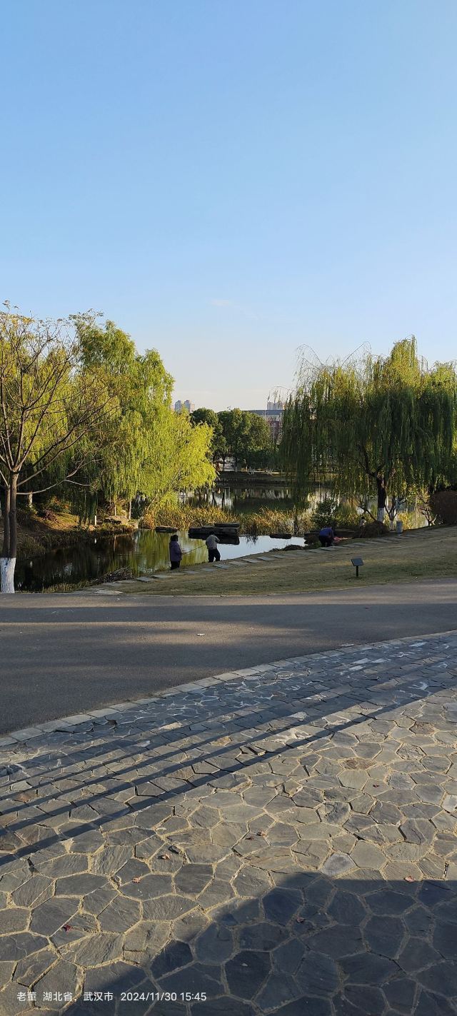 常青花园中心公园旅行图片 3