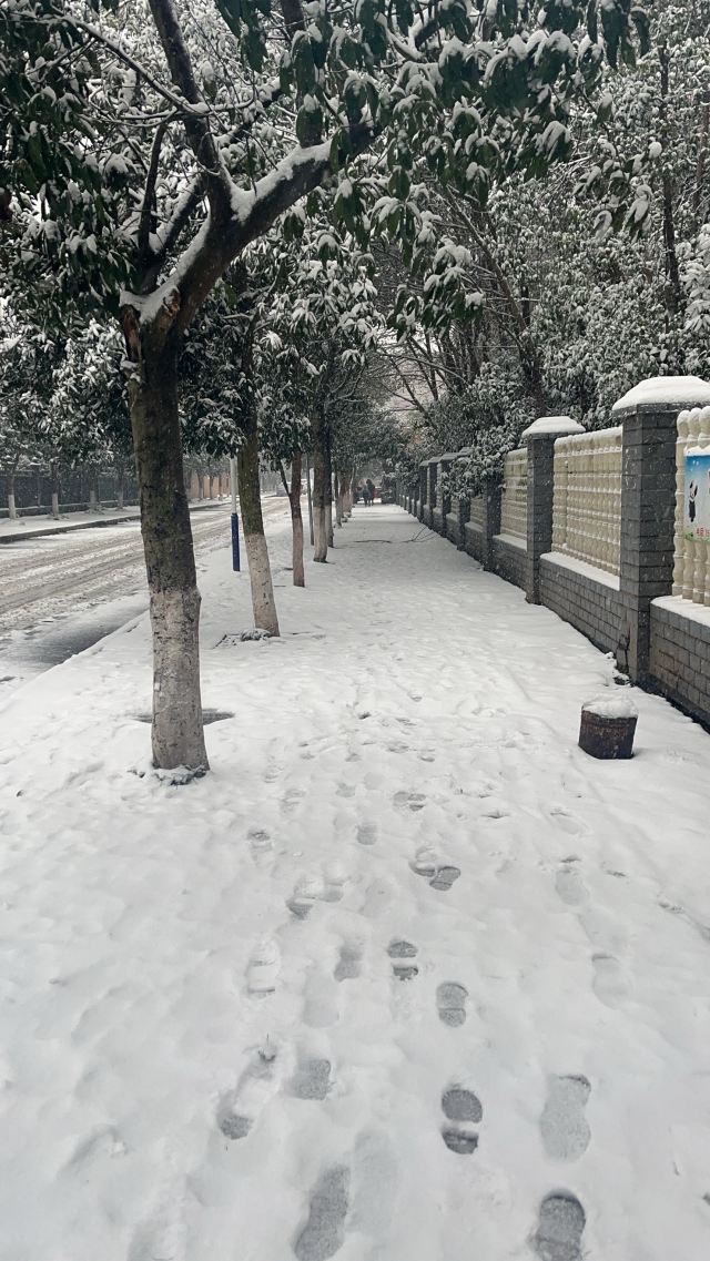 桂阳文化园旅行图片 9