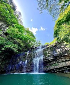 黎平国家森林公园-黎平-🌸汤圆小丸子🌸