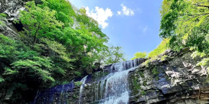 黎平國家森林公園