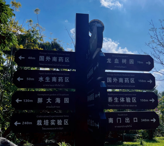 西双版纳南药园旅行图片 6