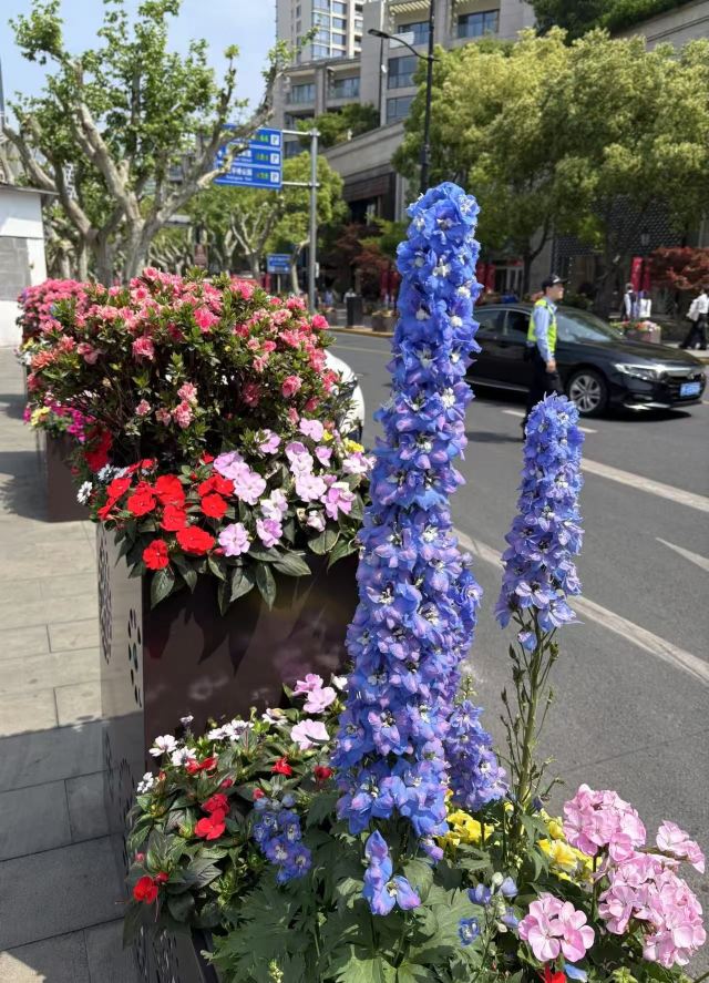 复兴公园旅行图片 4