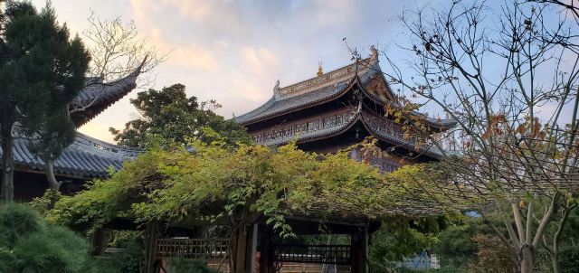 龙华塔旅行图片 2