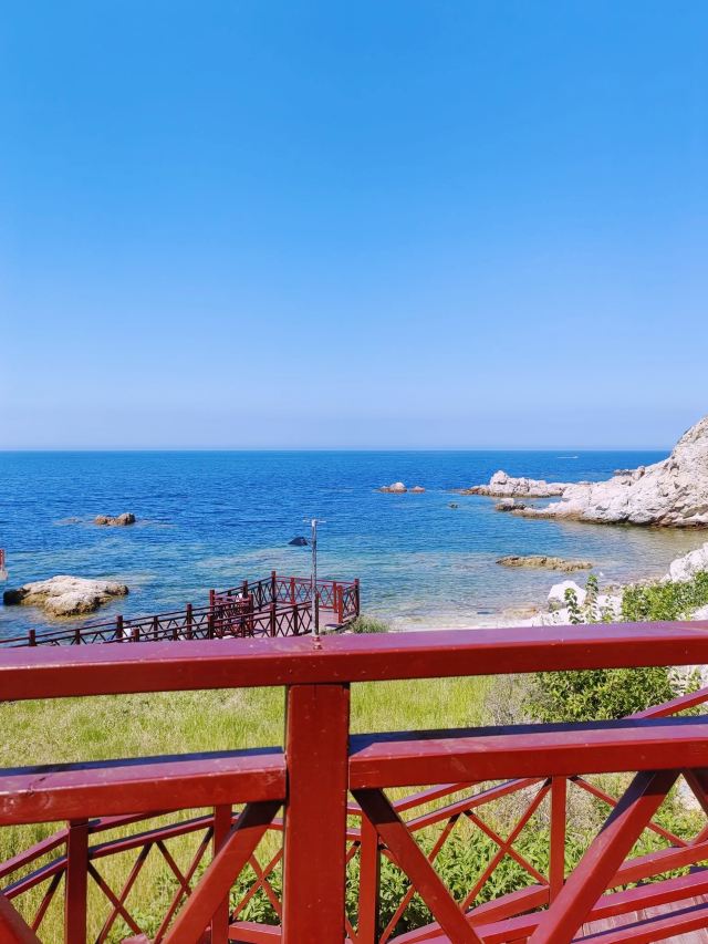 养马岛林间花海旅行图片 3