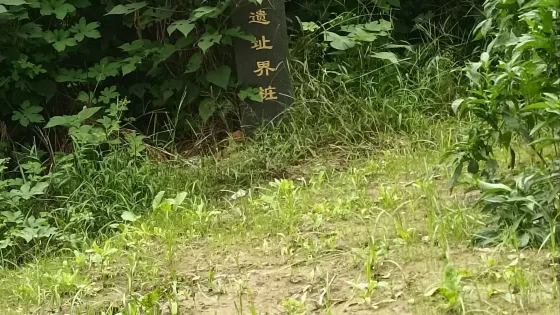 大乘禪寺