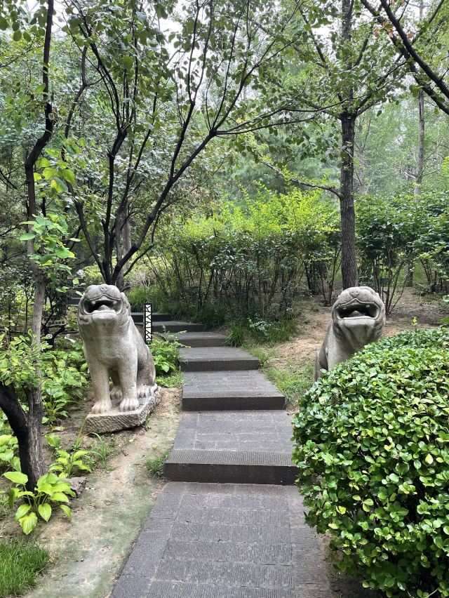迎泽公园旅行图片 5
