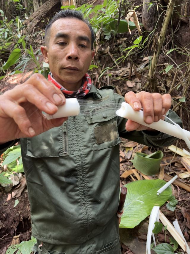 西双版纳纳卡雨林徒步旅行图片 3