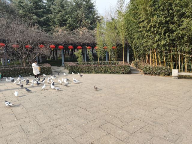 航天城中湖公园旅行图片 5
