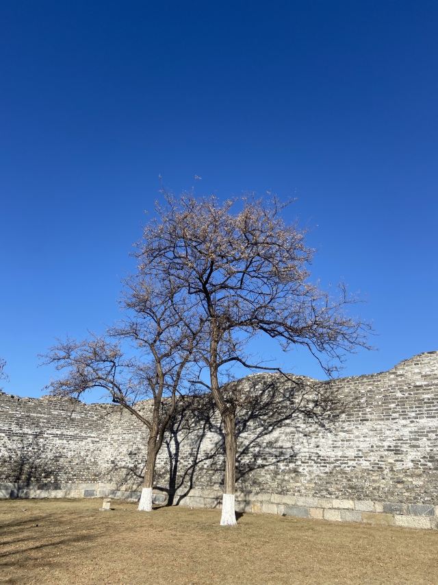 北京明城墙遗址公园旅行图片 2