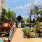 瑞丽觉觉味道·异国风情(瑞丽大道店)