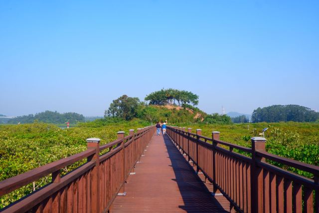 仙岛公园旅行图片 2