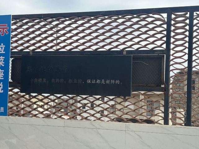龙王头海滩旅行图片 7