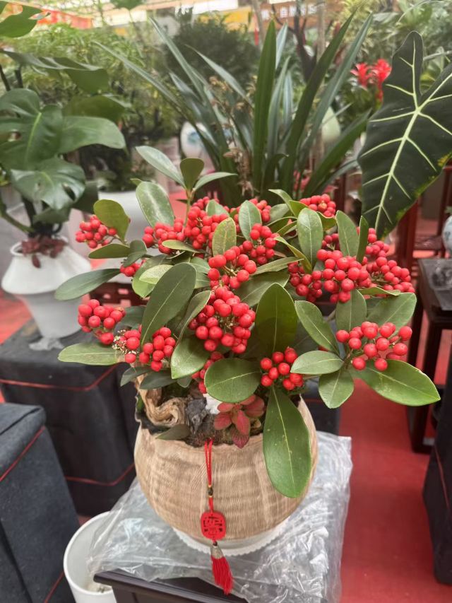 邯郸植物园旅行图片 6