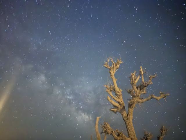 敦煌丝路遗产城旅行图片 6