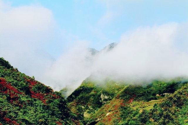 秦岭风景区旅行图片 1