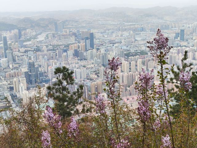 兰山公园旅行图片 2