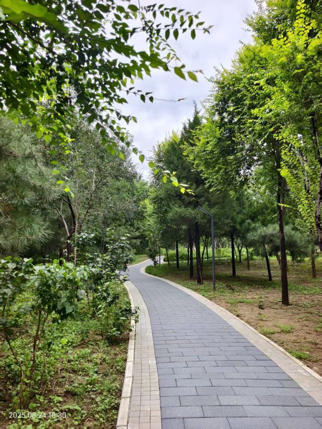 老山城市休闲公园旅行图片 9