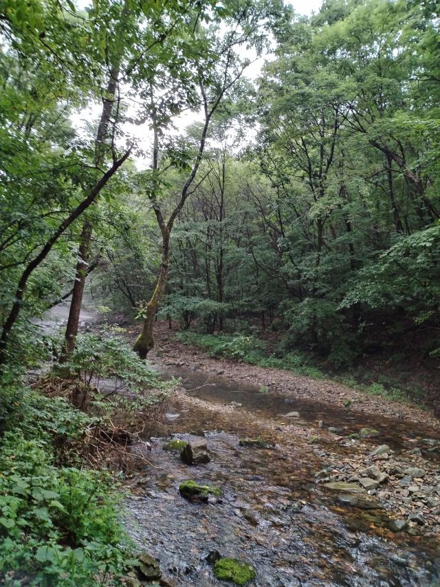 酒泉六分湿地景区旅行图片 4