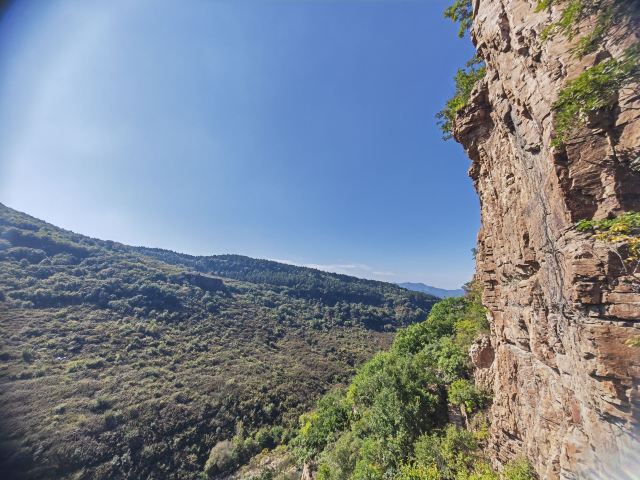 人参谷森林公园旅行图片 2