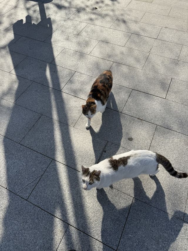 啬园旅行图片 3
