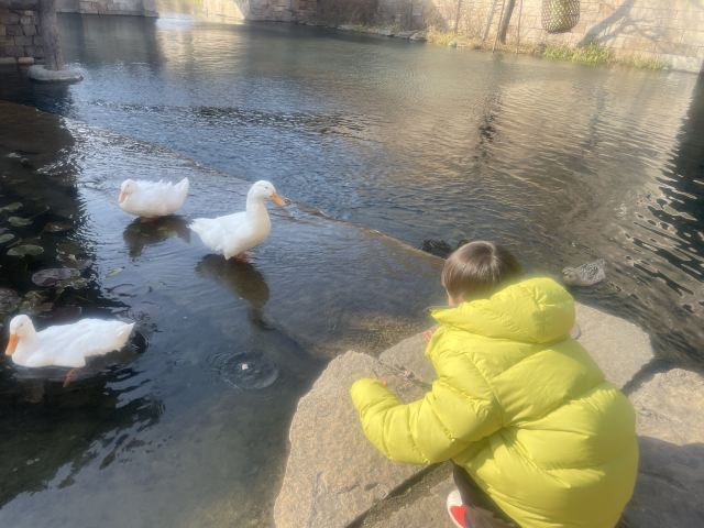清照泉城·明水古城国际泉水旅游度假区旅行图片 3