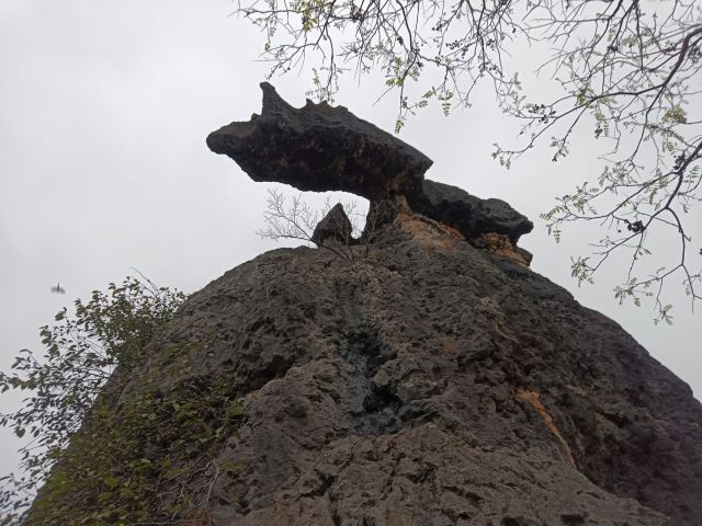 石林风景区旅行图片 1