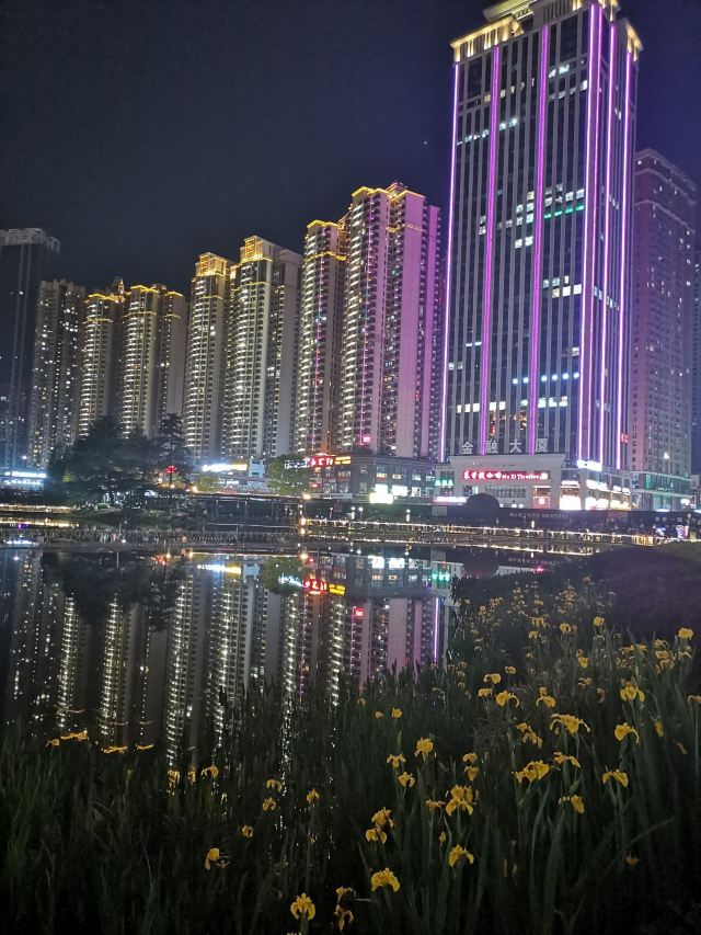 花果园湿地公园旅行图片 3