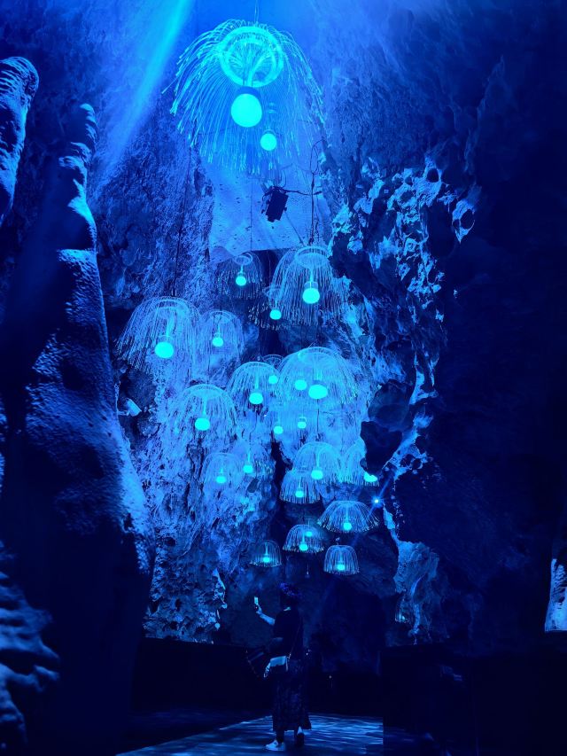 金梭岛旅行图片 3