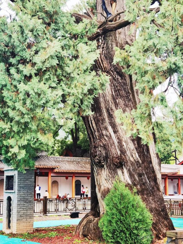 轩辕殿旅行图片 3